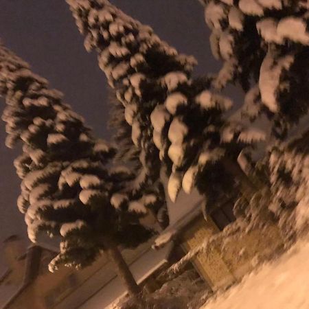 Apartman Milica Kremna Dış mekan fotoğraf