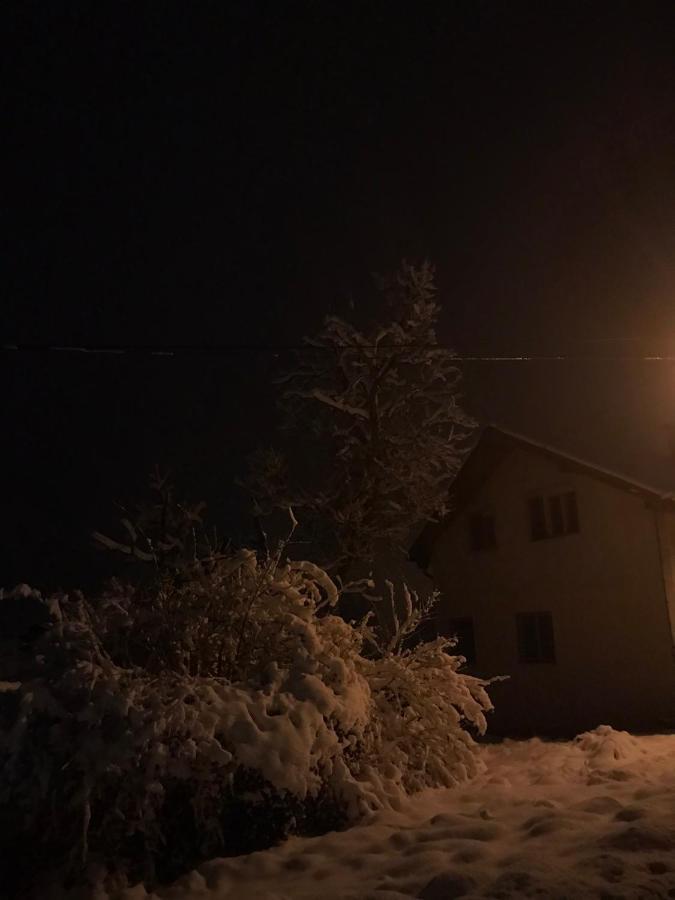 Apartman Milica Kremna Dış mekan fotoğraf